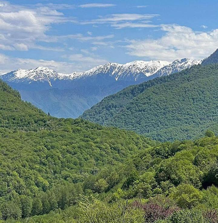 Гостевой Дом "Амза" Bed & Breakfast Tqvarcheli Eksteriør bilde